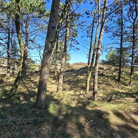 Feriehus 4 Person In Romo-by Traum Lakolk